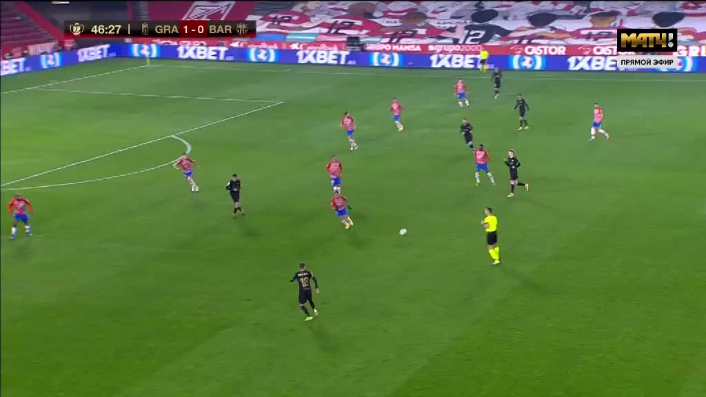 协会风采 ｜ 激情元旦游，奋“泳”向新程——大连黑石礁冬泳队冬泳日活动